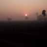 nhsnayma000